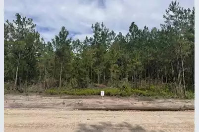 0 Walker Road #Lot 1, Ridgeville, SC 29472 - Photo 2