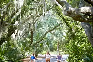 1604 Live Oak Park, Seabrook Island, SC 29455 - Photo 90