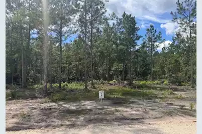 0 Walker Road #Lot 2, Ridgeville, SC 29472 - Photo 1