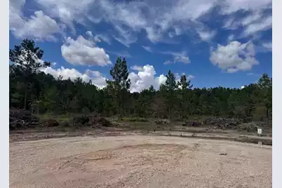 Lot 5 Walker Road, Ridgeville, SC 29472 - Photo 4