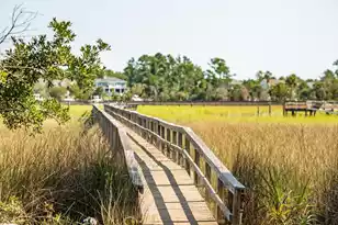 2384 Darts Cove Way, Mount Pleasant, SC 29466 - Photo 96