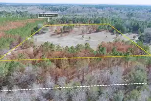 5 Pompey Rd, Manning, SC 29102 - Photo 4