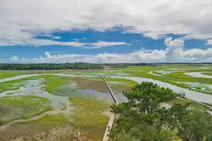 8775 Peters Point Rd, Edisto Island, SC 29438 - Photo 34