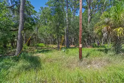 7860 Russell Creek Road, Edisto Island, SC 29438 - Photo 2
