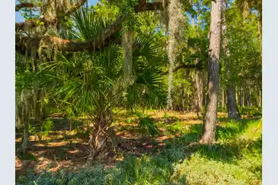 7860 Russell Creek Road, Edisto Island, SC 29438 - Photo 10