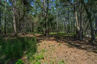 7860 Russell Creek Road, Edisto Island, SC 29438 - Photo 28
