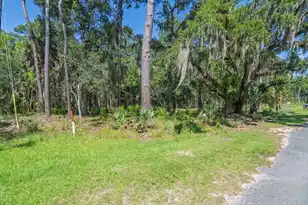 7860 Russell Crk Rd, Edisto Island, SC 29438 - Photo 1