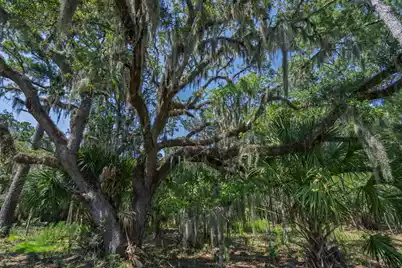 7860 Russell Creek Road, Edisto Island, SC 29438 - Photo 22