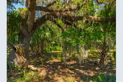 7860 Russell Creek Road, Edisto Island, SC 29438 - Photo 16
