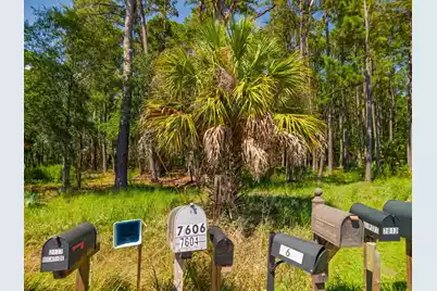 7860 Russell Creek Road, Edisto Island, SC 29438 - Photo 12