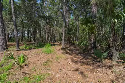 7860 Russell Creek Road, Edisto Island, SC 29438 - Photo 26