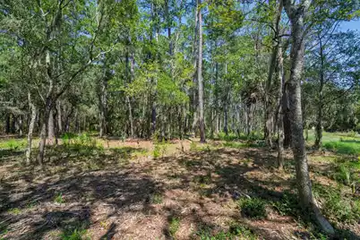 7860 Russell Creek Road, Edisto Island, SC 29438 - Photo 24