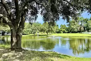 2452 Fulford Ct, Mount Pleasant, SC 29466 - Photo 54