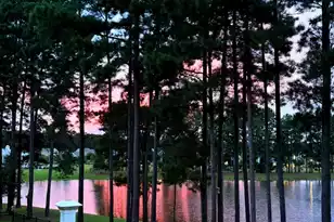 276 Calm Water Way, Summerville, SC 29486 - Photo 112
