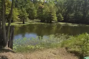 116 Huger St, Eutawville, SC 29048 - Photo 1