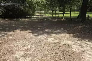 116 Huger St, Eutawville, SC 29048 - Photo 16