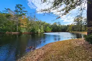 17 Blake Ln, Seabrook, SC 29940 - Photo 92