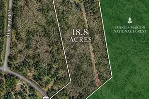 3796 Hwy 402, Cordesville, SC 29434 - Photo 1