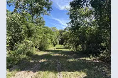 00 Jasper Lane, Summerton, SC 29148 - Photo 6