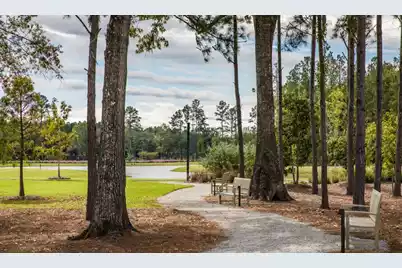 1061 Lettered Olive Lane, Summerville, SC 29485 - Photo 16