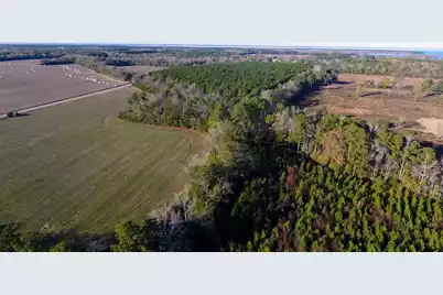 0 Rocks Pond Road #Lot O, Eutawville, SC 29048 - Photo 8