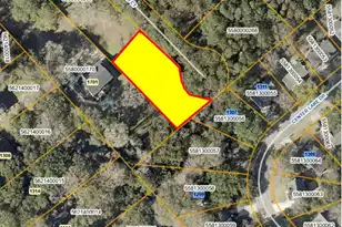1311 Joe Steed Ct, Mount Pleasant, SC 29464 - Photo 1
