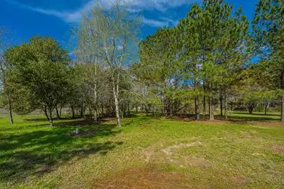 268 Rodeo Drive, Eutawville, SC 29048 - Photo 6