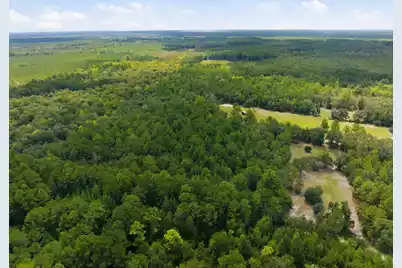 202 Alford Place, Walterboro, SC 29488 - Photo 8