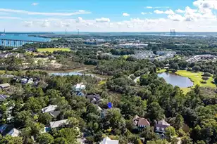 153 King George St, Charleston, SC 29492 - Photo 70