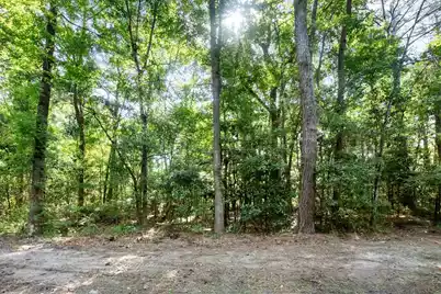 0 Conrad Street, Johns Island, SC 29455 - Photo 22