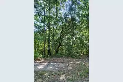 0 Conrad Street, Johns Island, SC 29455 - Photo 20