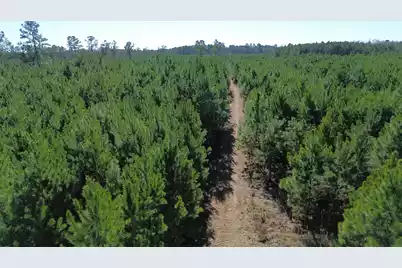 0 Seaboard Road, Andrews, SC 29510 - Photo 2