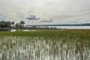 2306 Sandy Point Ln, Mount Pleasant, SC 29466 - Photo 62