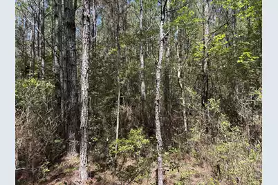 10 Red Oak Road, Cottageville, SC 29435 - Photo 4