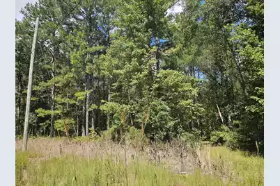 0 McAlhany Road, Reevesville, SC 29471 - Photo 2