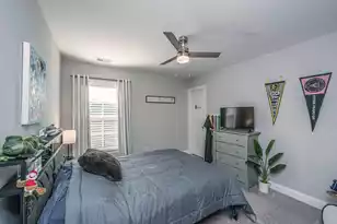 3845 Tupelo Branch Row, Mount Pleasant, SC 29429 - Photo 34