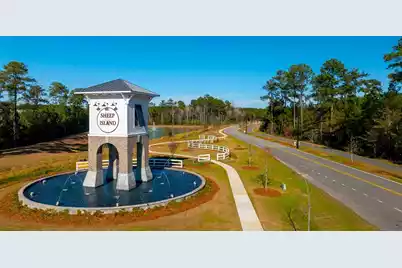 412 Wild Olive Drive, Moncks Corner, SC 29461 - Photo 10