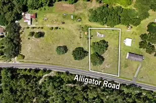 0 Alligator Rd, Cordesville, SC 29434 - Photo 1
