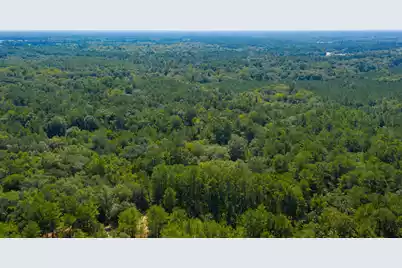 0 Dennis Britt Road, Saint George, SC 29477 - Photo 14