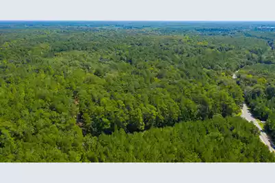 0 Dennis Britt Road, Saint George, SC 29477 - Photo 20