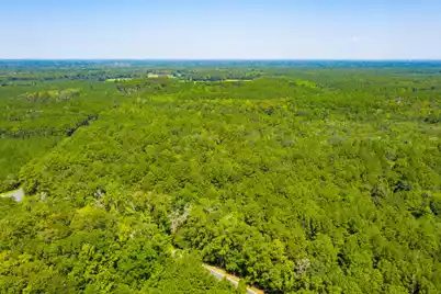 0 Dennis Britt Road, Saint George, SC 29477 - Photo 6