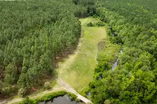 741 Jones Rd, Lake City, SC 29560 - Photo 50