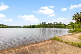 741 Jones Rd, Lake City, SC 29560 - Photo 10