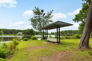 741 Jones Rd, Lake City, SC 29560 - Photo 4