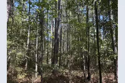 Tbd Red Oak Road, Cottageville, SC 29435 - Photo 6