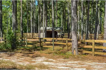 1084 Farnum Road, Orangeburg, SC 29118 - Photo 86