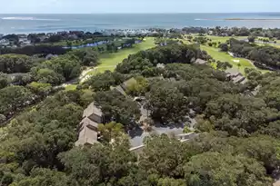156 High Hammock Villas, Seabrook Island, SC 29455 - Photo 44