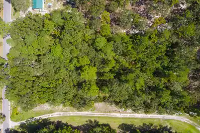 0 Gabe, Adams Run, SC 29426 - Photo 4