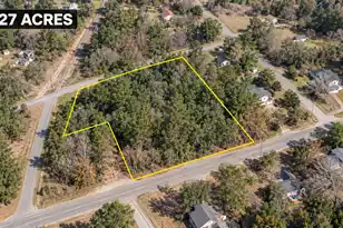 0 Red Bluff St, Clio, SC 29525 - Photo 1