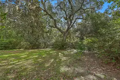 4674 Maybank Highway, Wadmalaw Island, SC 29487 - Photo 4